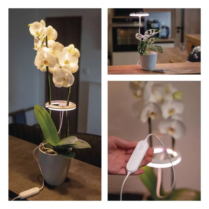 LED prigušiva unutarnja svjetiljka za uzgoj biljaka GROW LED/8W/5V