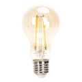 LED Prigušiva žarulja FILAMENT A60 E27/6W/230V 2200K - Aigostar