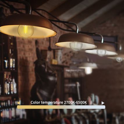 LED Prigušiva žarulja FILAMENT G45 E27/4,5W/230V 2700-6500K Wi-Fi - Aigostar