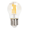 LED Prigušiva žarulja FILAMENT G45 E27/4W/230V 2200K - Aigostar