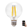 LED Prigušiva žarulja FILAMENT MESH Smart G95 E27/6W/230V 2700-6500K - Aigostar