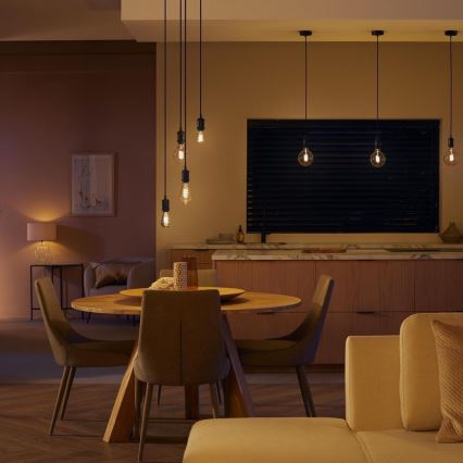 LED Prigušiva žarulja Philips Hue WHITE AMBIANCE ST72 E27/7W/230V 2200-4500K