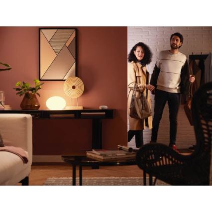 LED Prigušiva žarulja Philips Hue WHITE E27/9W/230V 2700K