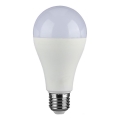 LED Prigušiva žarulja SAMSUNG CHIP A65 E27/17W/230V 4000K