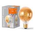 LED Prigušiva žarulja SMART+ FILAMENT GLOBE G80 E27/8W/230V 2200-5000K Wi-Fi - Ledvance