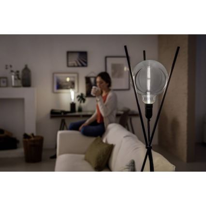 LED prigušiva žarulja SMOKY VINTAGE Philips G200 E27/6,5W/230V 4000K