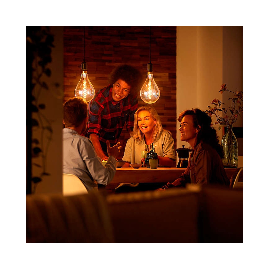 LED Prigušiva žarulja VINTAGE DYI E27/4W/230V 2700K - Leuchten Direkt 0846