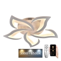 LED prigušivač za stropnu svjetiljku LED/55W/230V 3000-6500K + daljinski upravljač