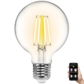 LED prigušivača žarulja FILAMENT G80 E27/6W/230V 2700-6500K Wi-Fi - Aigostar