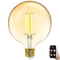 LED prigušivača žarulja FILAMENT MESH Smart G125 E27/6W/230V 2700-6500K - Aigostar