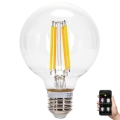 LED prigušivača žarulja FILAMENT MESH Smart G80 E27/6W/230V 2700-6500K - Aigostar