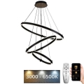 LED prigušivački luster na užetu LED/250W/230V 3000-6500K promjer 80 cm + daljinski upravljač