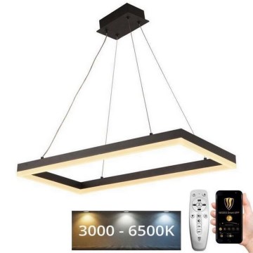 LED prigušivački luster na užetu LED/40W/230V 3000-6500K + daljinski upravljač