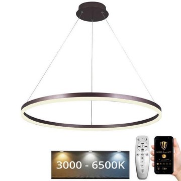 LED prigušivački luster na užetu LED/55W/230V 3000-6500K promjer 80 cm + daljinski upravljač