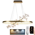 LED prigušivački luster na užetu LED/65W/230V 3000-6500K + daljinski upravljač