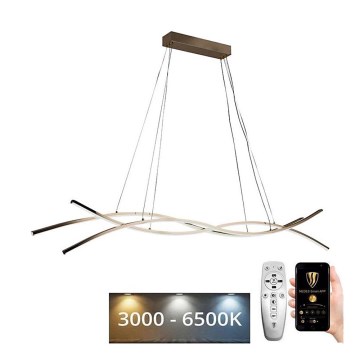 LED prigušivački luster na užetu LED/80W/230V 3000-6500K + daljinski upravljač