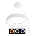 LED prigušivački luster na užetu NEST LED/40W/230V 3000-6500K bijela + daljinski upravljač