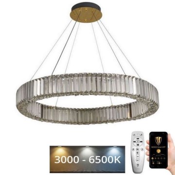 LED Prigušivi kristalni luster na sajli LED/50W/230V 3000-6500K krom/zlatna + daljinski upravljač