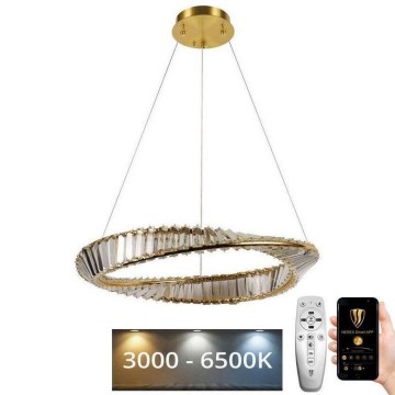LED prigušivi kristalni luster na užetu LED/40W/230V 3000-6500K + daljinski upravljač