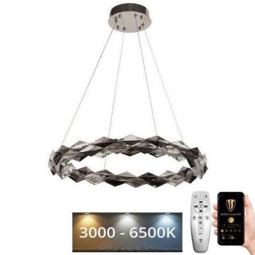 LED prigušivi kristalni luster na užetu LED/40W/230V 3000-6500K sjajni krom + daljinski upravljač