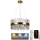 LED prigušivi kristalni luster na užetu LED/80W/230V 3000-6500K zlatna + daljinski upravljač