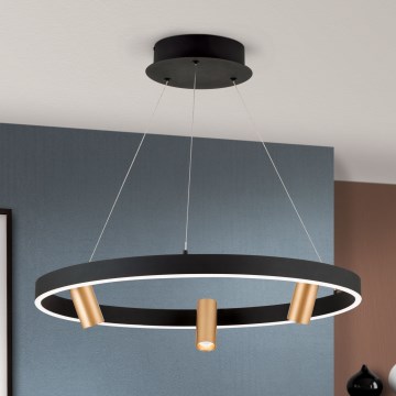 LED Prigušivi luster na sajli BERLIN LED/50W/230V crna/zlatna