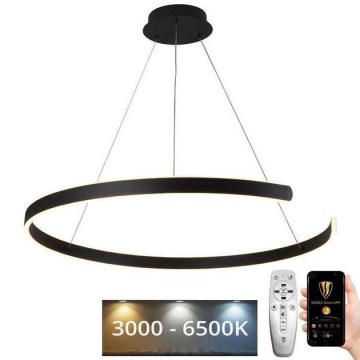 LED Prigušivi luster na sajli LED/100W/230V 3000-6500K pr. 80 cm + daljinski upravljač