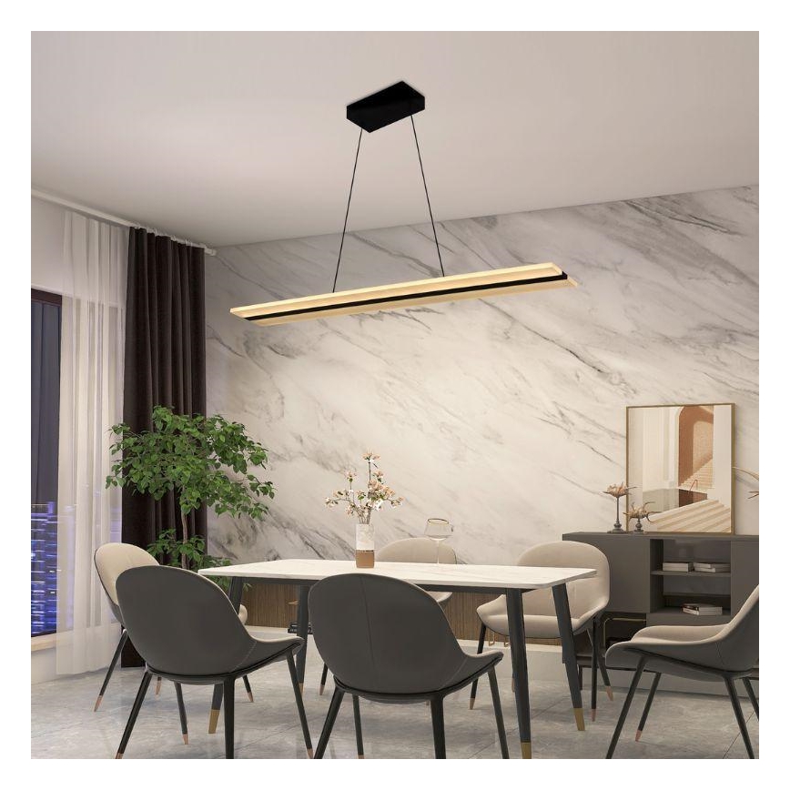 LED Prigušivi luster na sajli LED/40W/230V 3000-6500K crna + daljinski upravljač