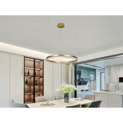 LED Prigušivi luster na sajli LED/42W/230V 3000-6500K + daljinski upravljač