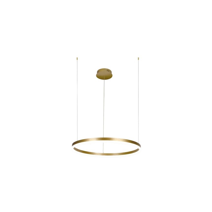 LED Prigušivi luster na sajli LED/42W/230V 3000-6500K + daljinski upravljač