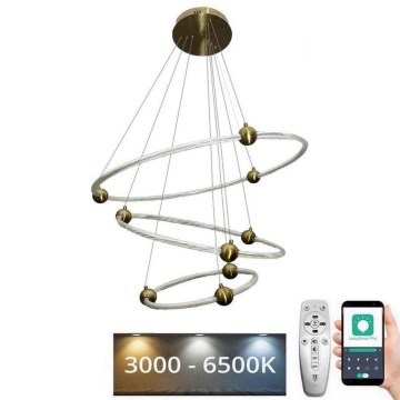 LED Prigušivi luster na sajli LED/45W/230V 3000-6500K pr. 80 cm + daljinski upravljač
