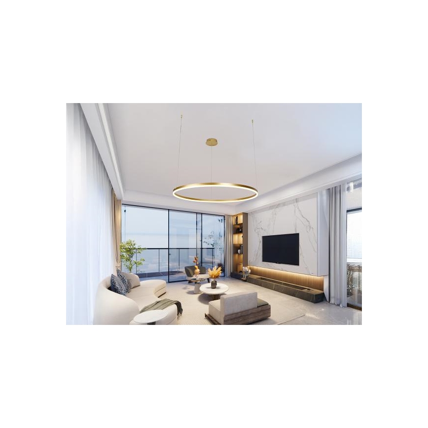 LED Prigušivi luster na sajli LED/55W/230V 3000-6500K + daljinski upravljač