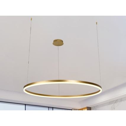 LED Prigušivi luster na sajli LED/55W/230V 3000-6500K + daljinski upravljač