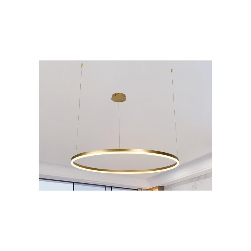 LED Prigušivi luster na sajli LED/55W/230V 3000-6500K + daljinski upravljač