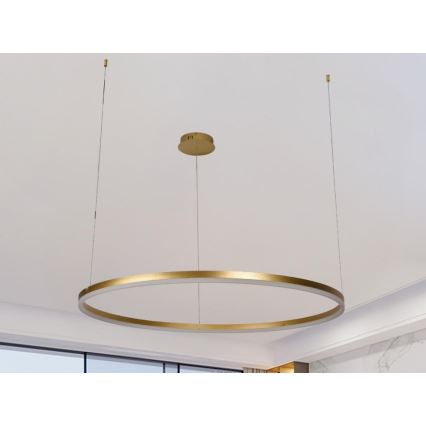 LED Prigušivi luster na sajli LED/55W/230V 3000-6500K + daljinski upravljač