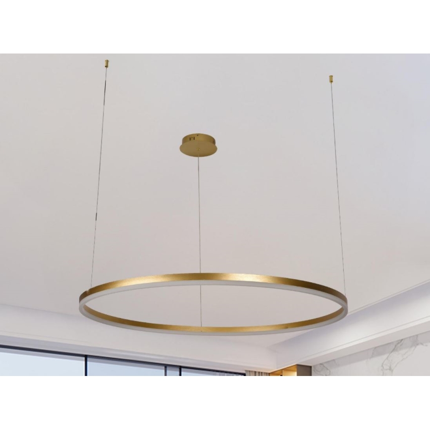 LED Prigušivi luster na sajli LED/55W/230V 3000-6500K + daljinski upravljač