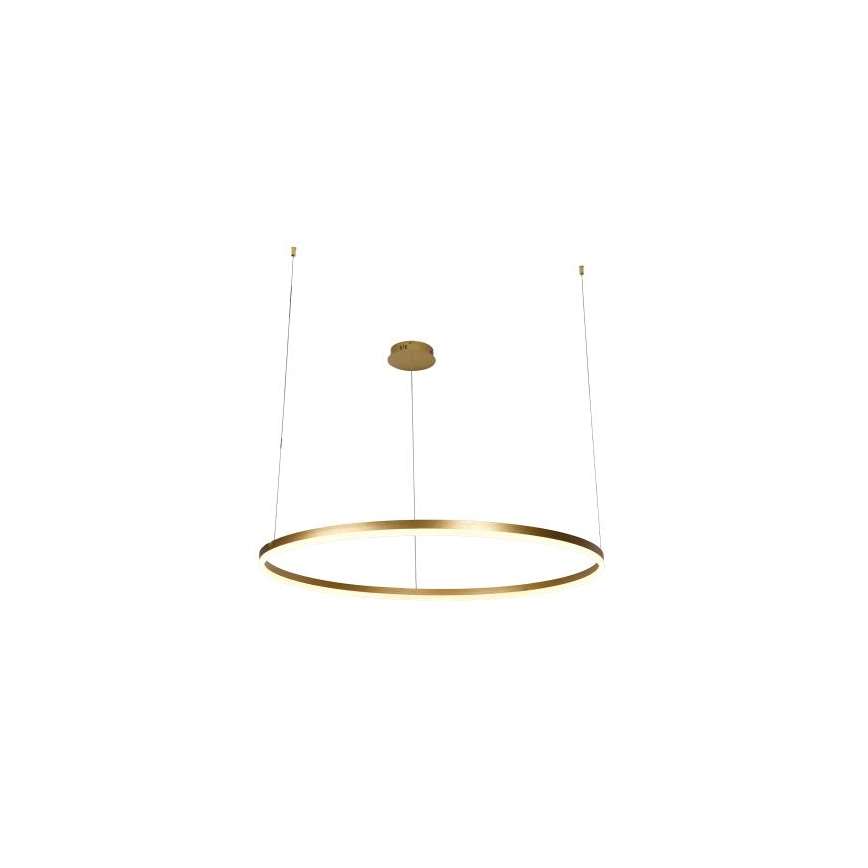 LED Prigušivi luster na sajli LED/55W/230V 3000-6500K + daljinski upravljač