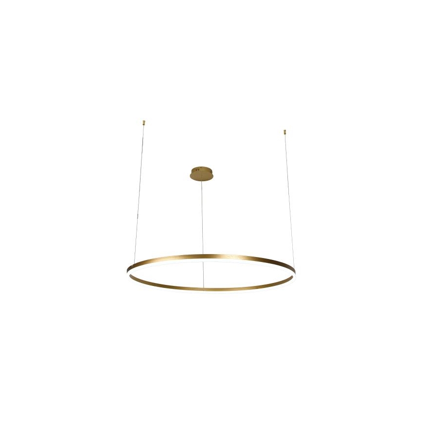 LED Prigušivi luster na sajli LED/55W/230V 3000-6500K + daljinski upravljač