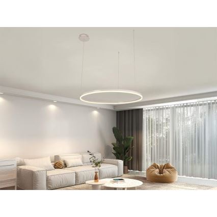 LED Prigušivi luster na sajli LED/55W/230V 3000-6500K + daljinski upravljač