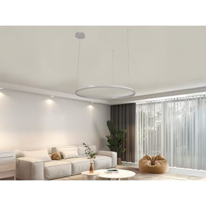 LED Prigušivi luster na sajli LED/55W/230V 3000-6500K + daljinski upravljač