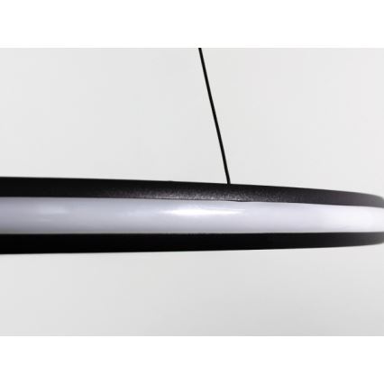 LED prigušivi luster na sajli LED/55W/230V 3000-6500K Ø 60 cm + daljinsko upravljanje