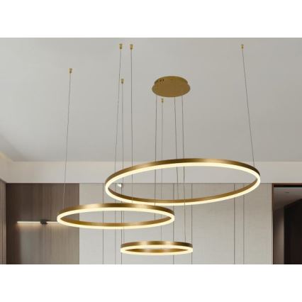 LED prigušivački luster na užetu LED/125W/230V 3000-6500K promjer 80 cm + daljinski upravljač