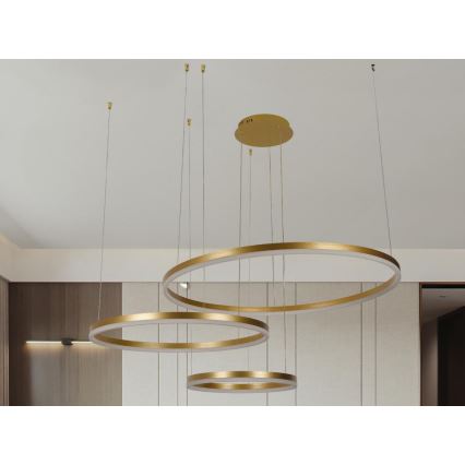 LED prigušivački luster na užetu LED/125W/230V 3000-6500K promjer 80 cm + daljinski upravljač