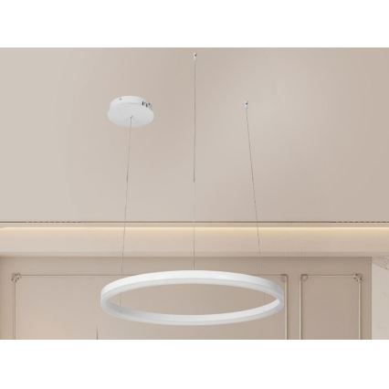 LED luster s prigušivanjem na užetu LED/42W/230V 3000-6500K promjer 60 cm + daljinski upravljač