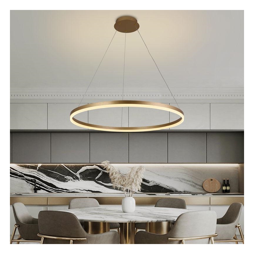 LED prigušivački luster na užetu LED/55W/230V 3000-6500K promjer 80 cm + daljinski upravljač