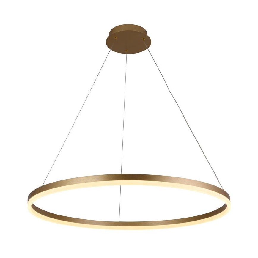 LED prigušivački luster na užetu LED/55W/230V 3000-6500K promjer 80 cm + daljinski upravljač