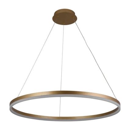 LED prigušivački luster na užetu LED/55W/230V 3000-6500K promjer 80 cm + daljinski upravljač