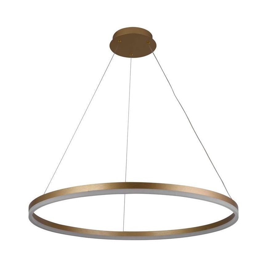 LED prigušivački luster na užetu LED/55W/230V 3000-6500K promjer 80 cm + daljinski upravljač