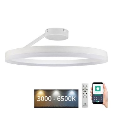 LED Prigušivi nadgradni luster LED/40W/230V 3000-6500K bijela + daljinski upravljač