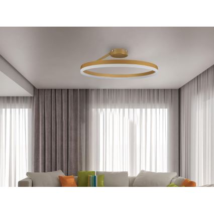LED Prigušivi nadgradni luster LED/40W/230V 3000-6500K zlatna + daljinski upravljač